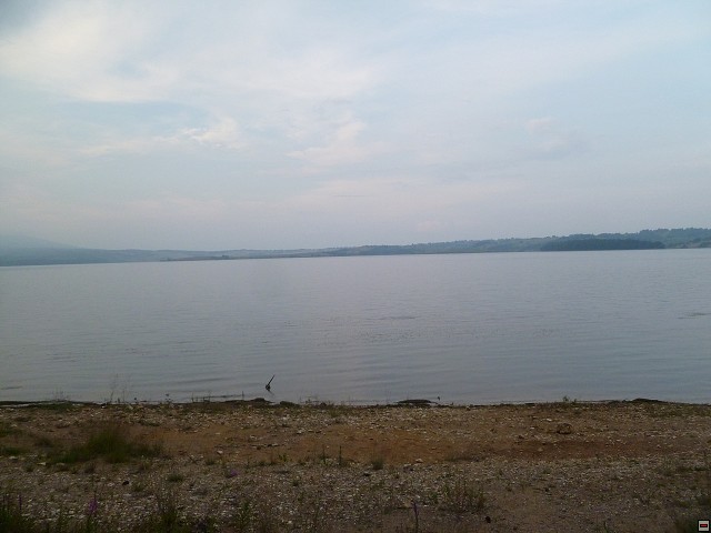 img00247.jpg