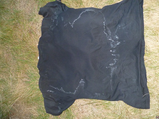 img00249.jpg