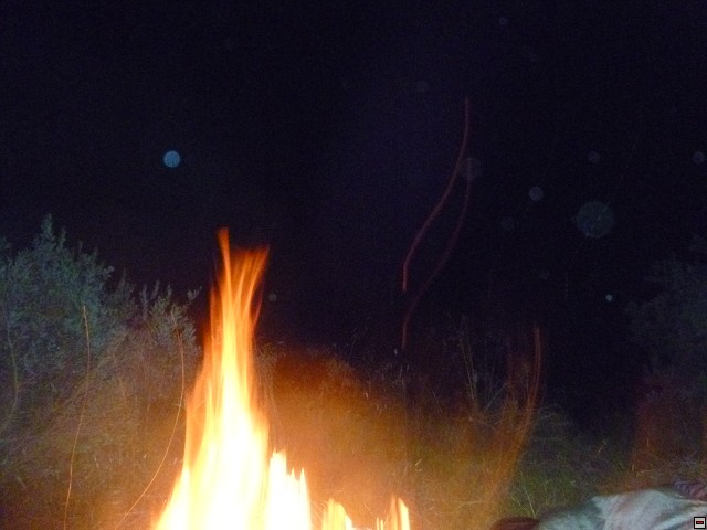 img00281.jpg