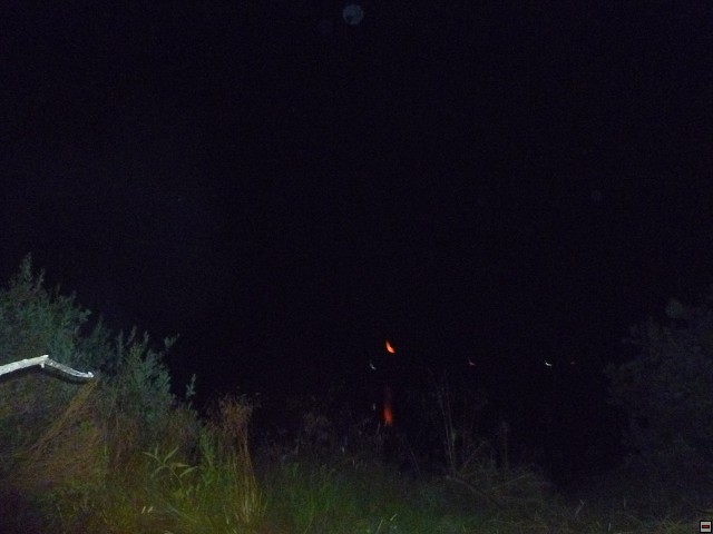 img00283.jpg