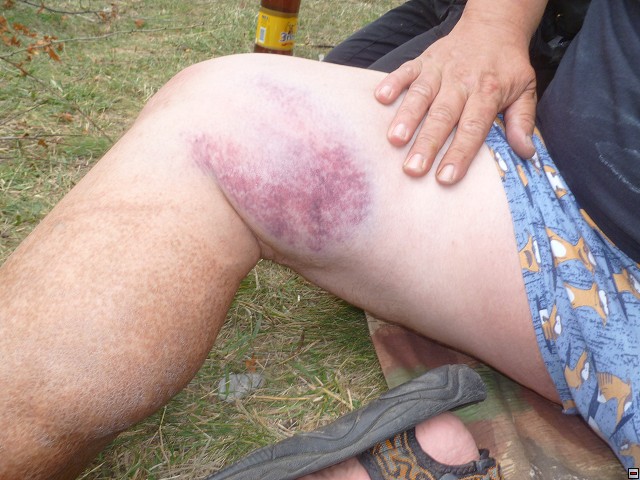 img00300.jpg