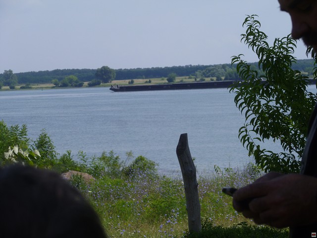 img00318.jpg