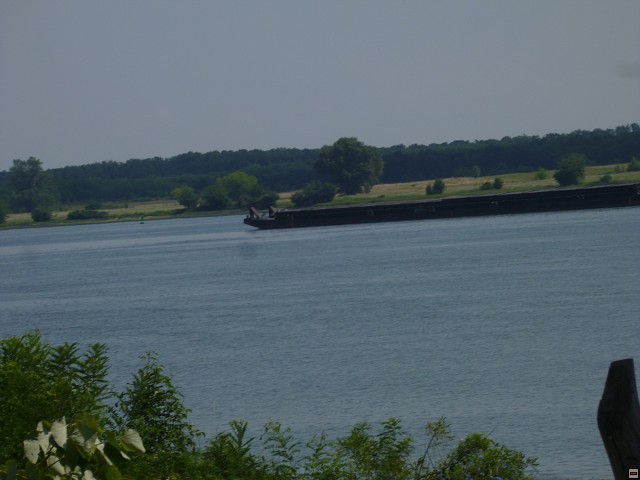 img00319.jpg