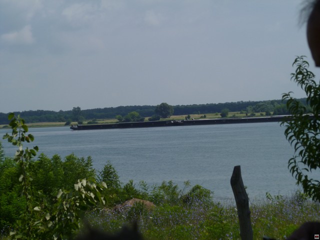 img00320.jpg