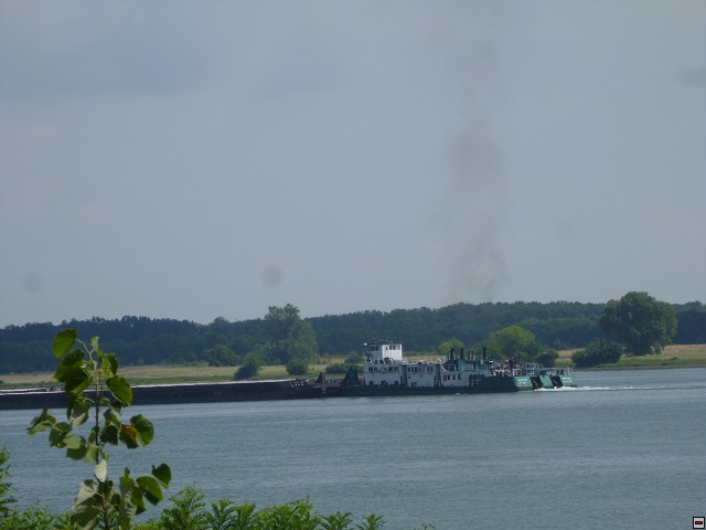 img00322.jpg