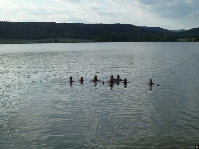 img00354.jpg