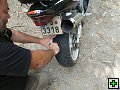 thn00385.jpg