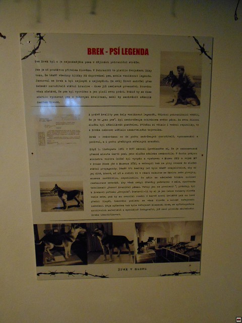 img00073.jpg