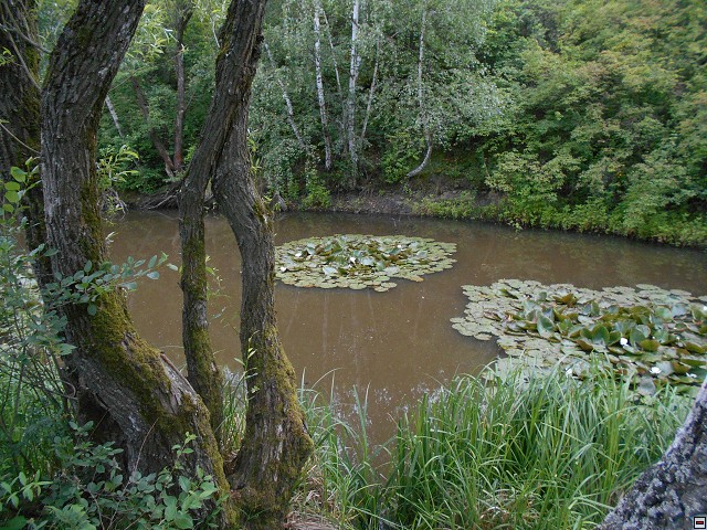 img00082.jpg