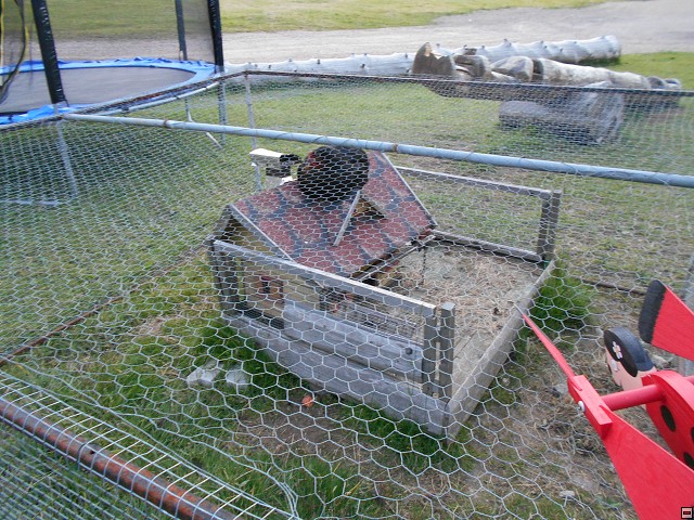 img00120.jpg