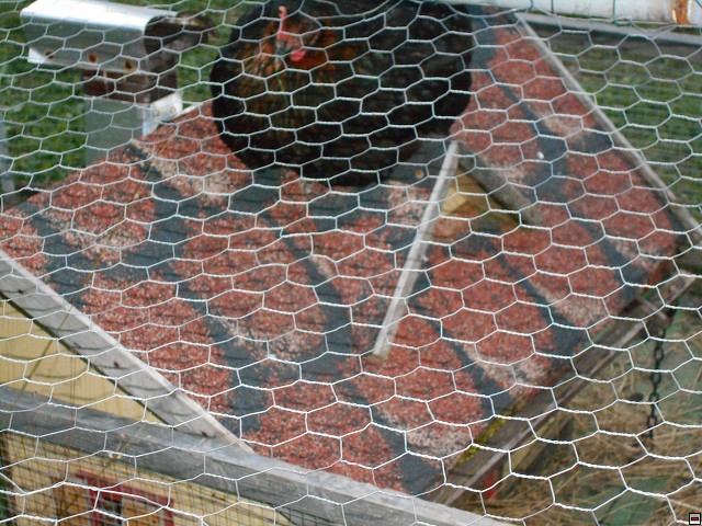 img00121.jpg