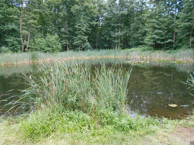 img00177.jpg