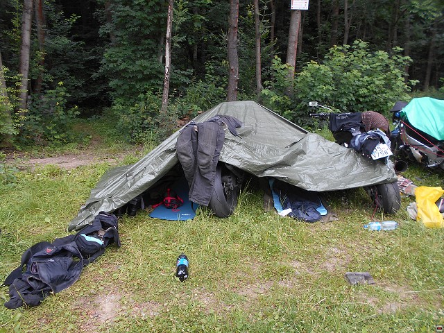 img00185.jpg