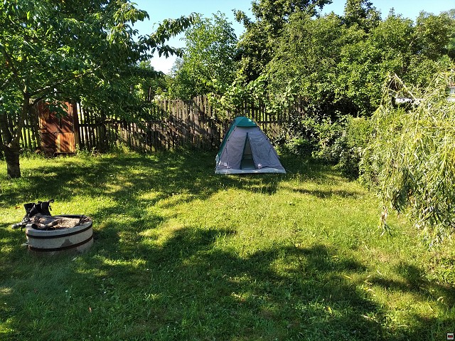img00239.jpg