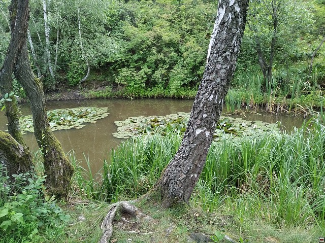 img00248.jpg