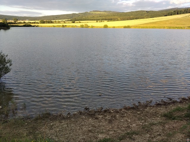 img00253.jpg