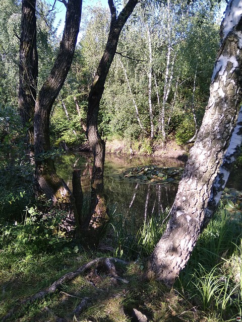 img00267.jpg