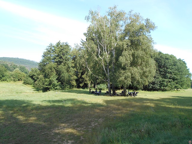 img00058.jpg