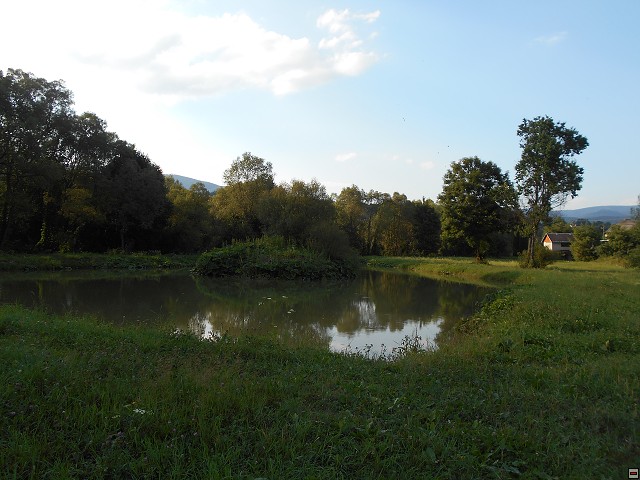 img00086.jpg