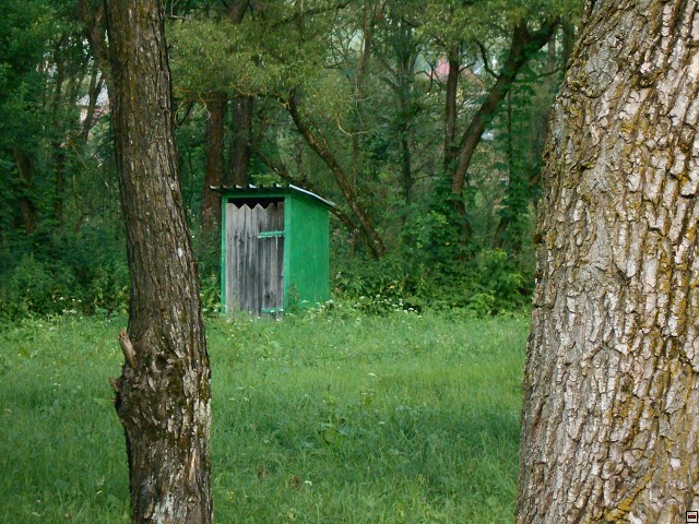 img00099.jpg