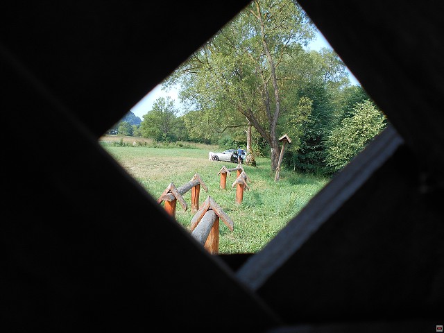 img00105.jpg