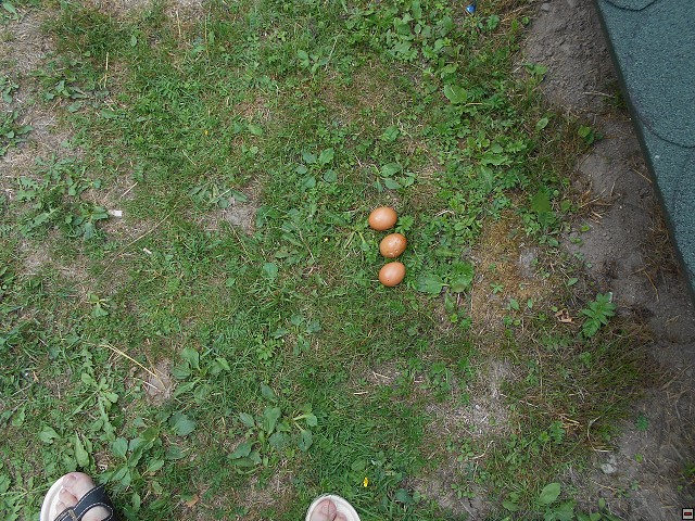img00119.jpg