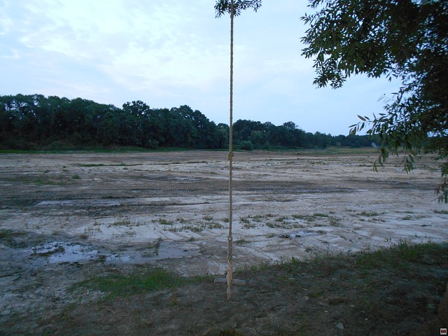 img00184.jpg