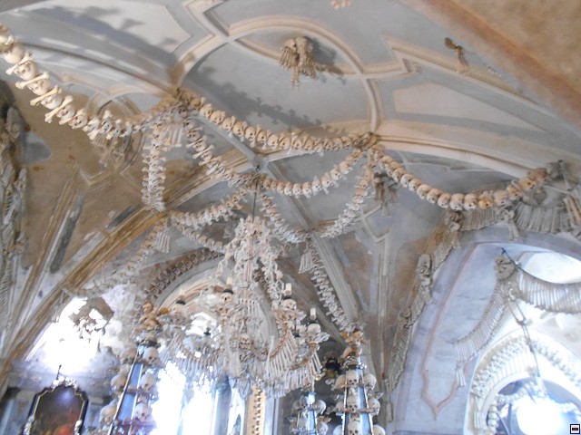 img00206.jpg