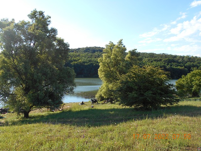 img00087.jpg