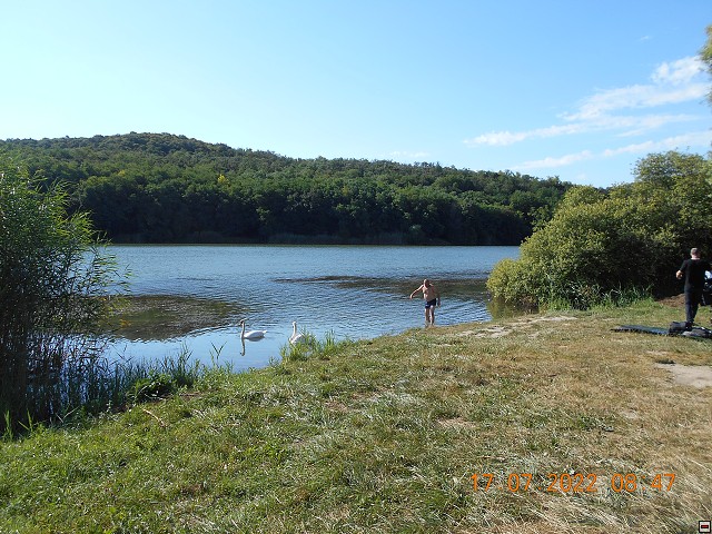 img00088.jpg