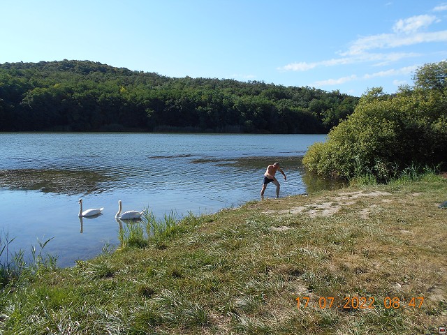 img00089.jpg