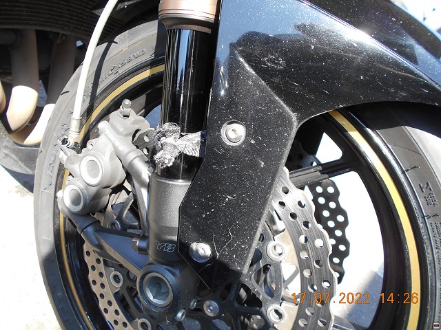 img00100.jpg
