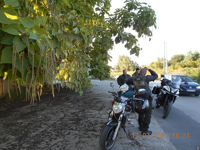 img00111.jpg