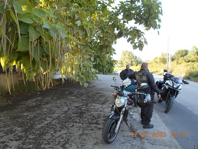 img00112.jpg