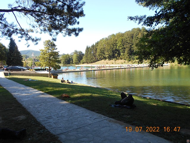 img00184.jpg