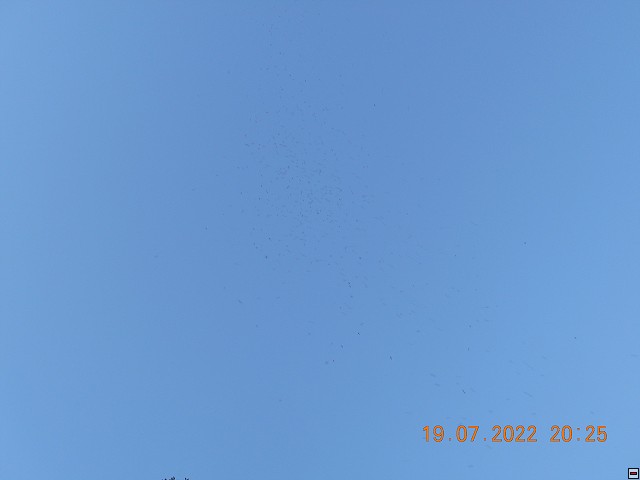 img00191.jpg