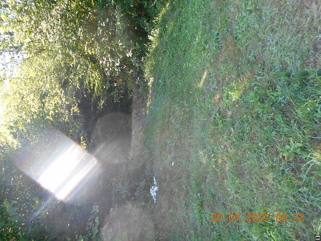 img00193.jpg