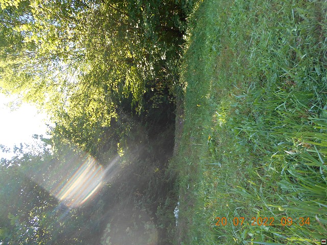 img00194.jpg