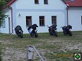 thn00029.jpg