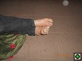 thn00035.jpg