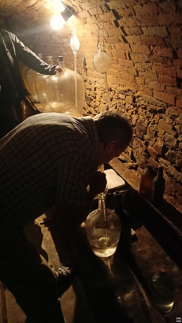 img00031.jpg