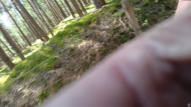 img00055.jpg