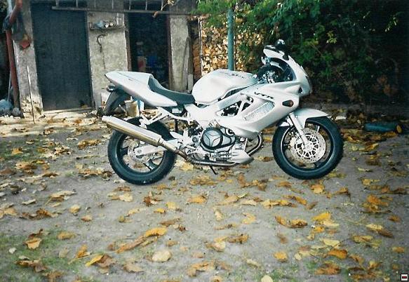 img00011.jpg