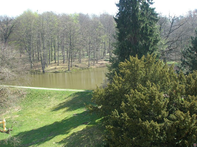 img00022.jpg