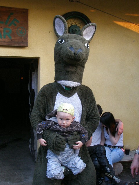 img00048.jpg