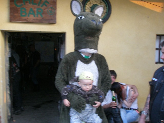 img00049.jpg