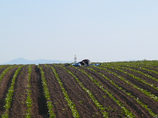 img00049.jpg