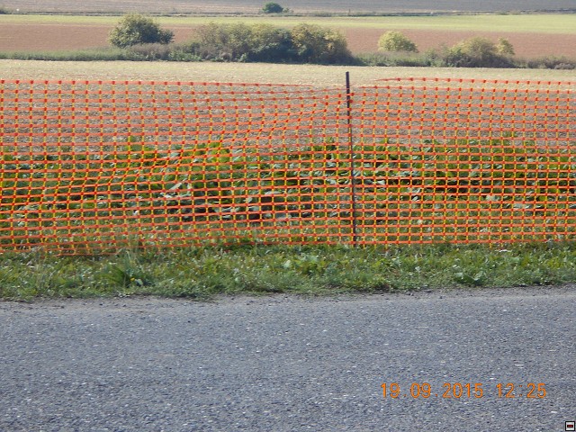 img00080.jpg