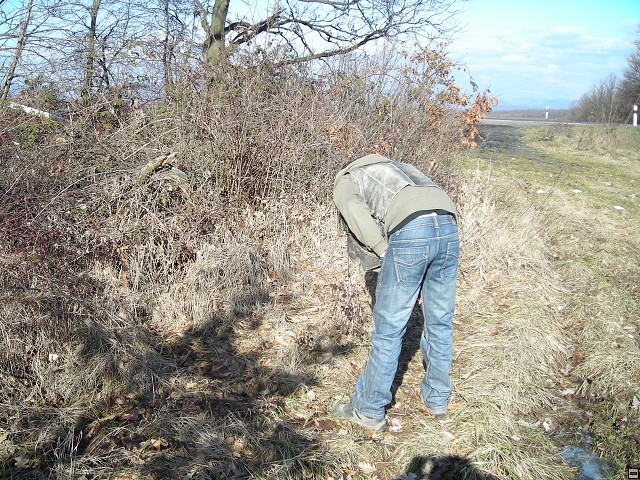 DSCN2597.jpg