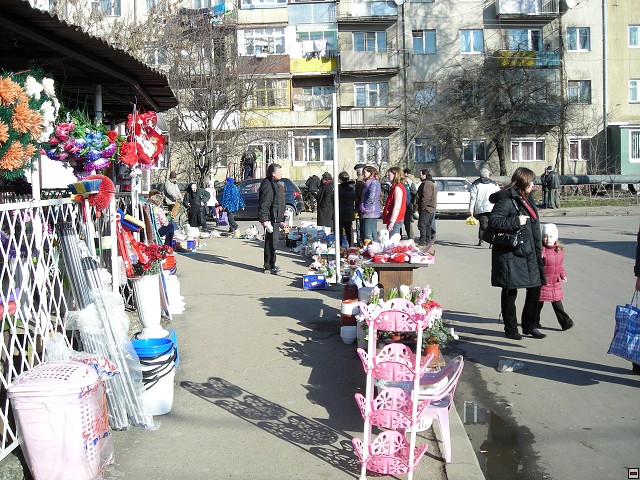 DSCN2646.jpg